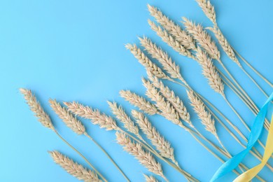 Photo of Ears of wheat with ribbons in colors of Ukrainian national flag on light blue background, flat lay