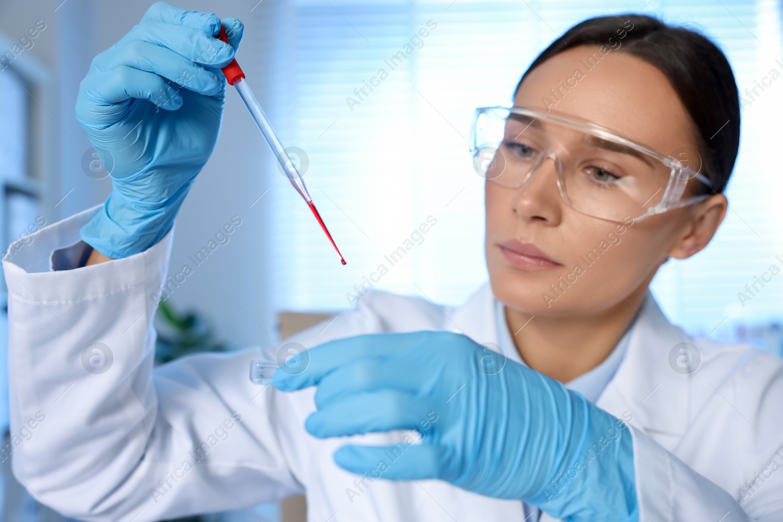 Photo of Laboratory testing. Doctor dripping blood sample into Petri dish indoors