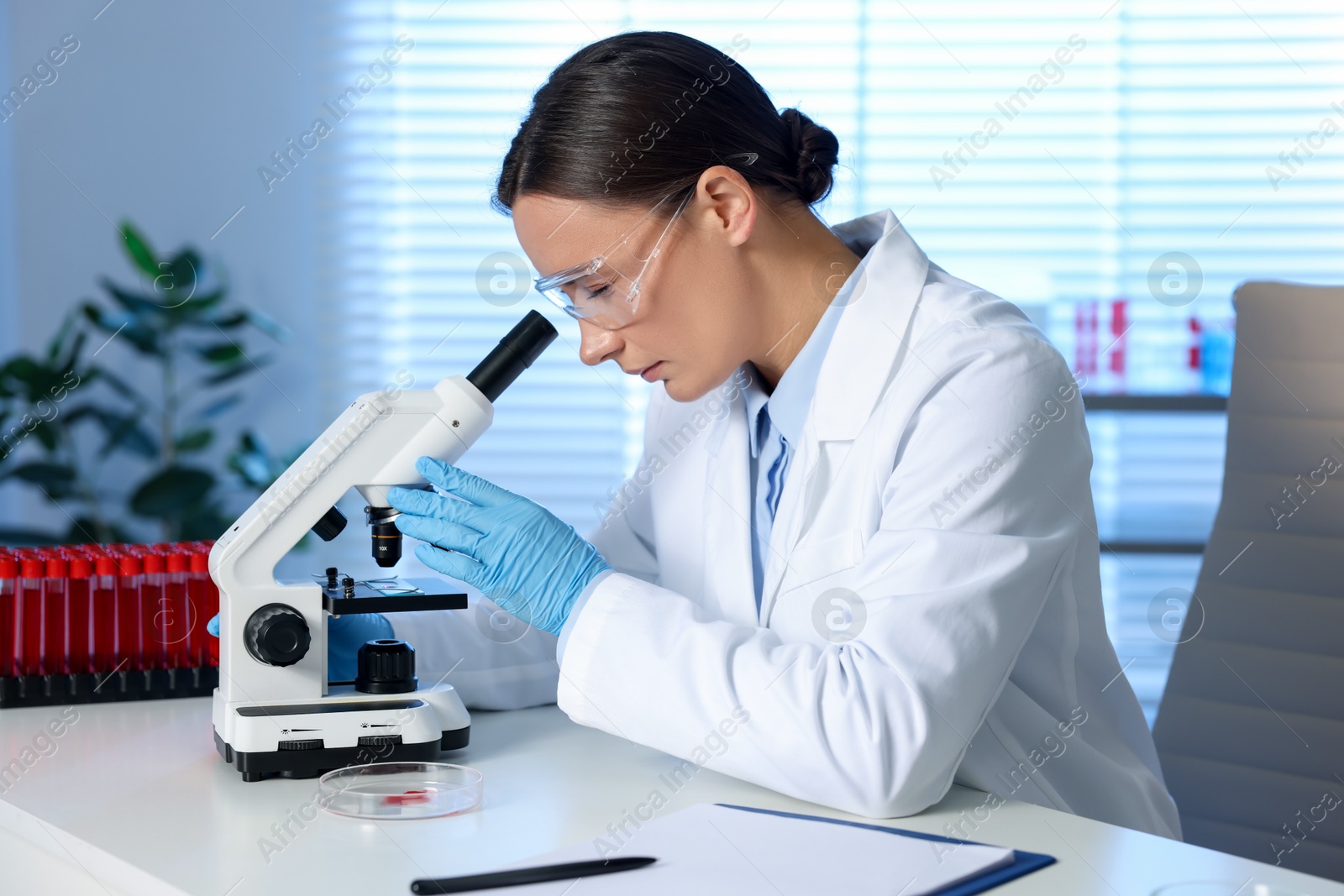 Photo of Laboratory testing. Doctor working with microscope at table indoors