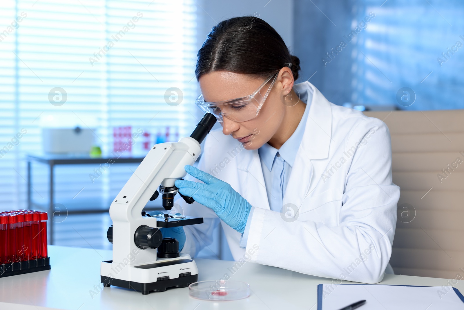 Photo of Laboratory testing. Doctor working with microscope at table indoors