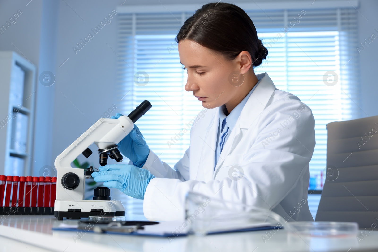 Photo of Laboratory testing. Doctor working with microscope at table indoors