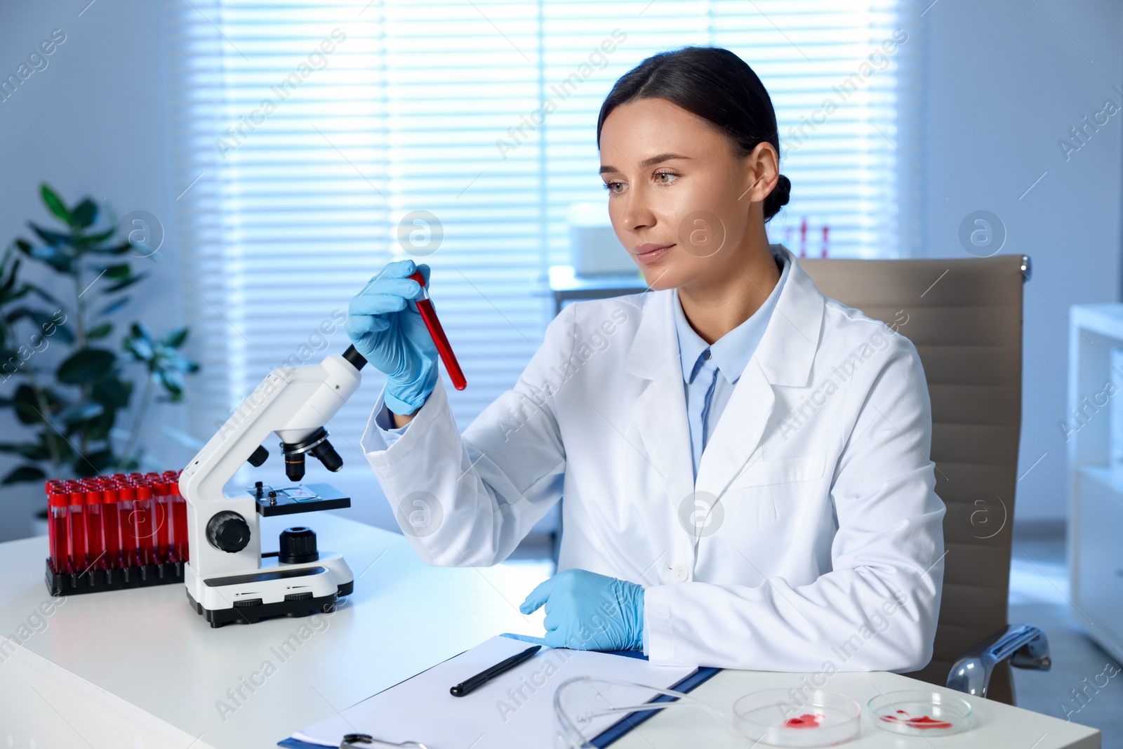 Photo of Laboratory testing. Doctor holding test tube with blood sample at table indoors