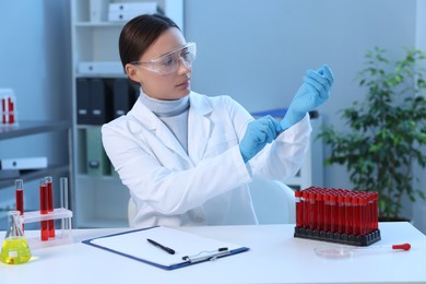 Laboratory testing. Doctor putting on gloves at table indoors