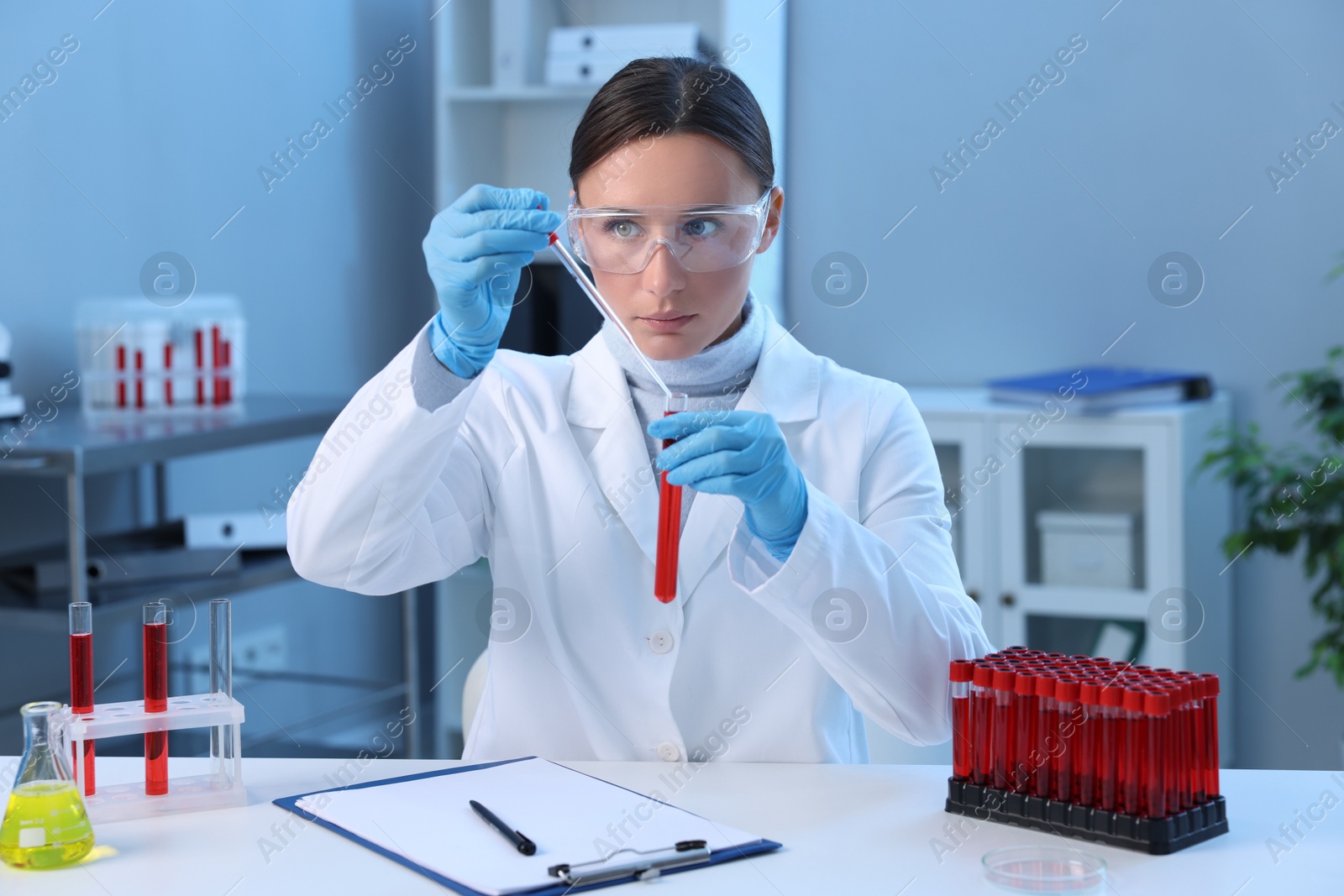 Photo of Laboratory testing. Doctor dripping blood sample into test tube at table indoors