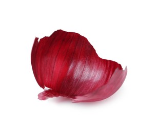 One piece of onion peel isolated on white