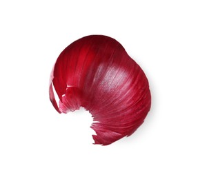 Photo of One onion peel isolated on white, top view