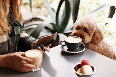 Photo of Woman with cute Toy Poodle dog and coffee in cafe, closeup