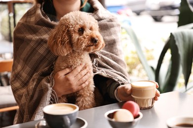 Woman with cute Toy Poodle dog and coffee in cafe, closeup