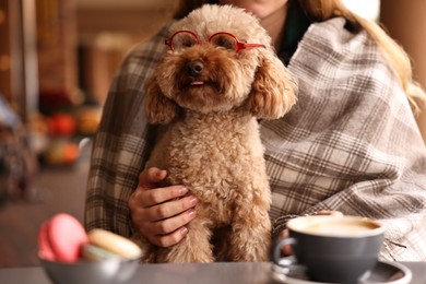 Photo of Woman with cute Toy Poodle dog and coffee in cafe, closeup