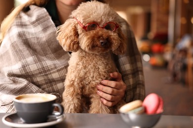 Photo of Woman with cute Toy Poodle dog and coffee in cafe, closeup