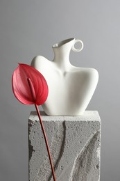 Photo of Stylish vase and tail flower on concrete block against light grey background