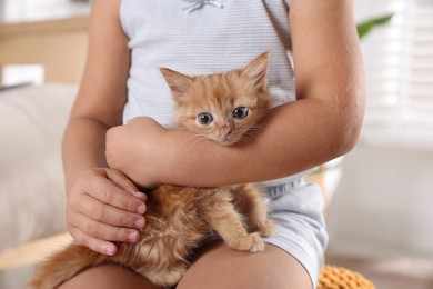 Child with cute ginger kitten indoors, closeup