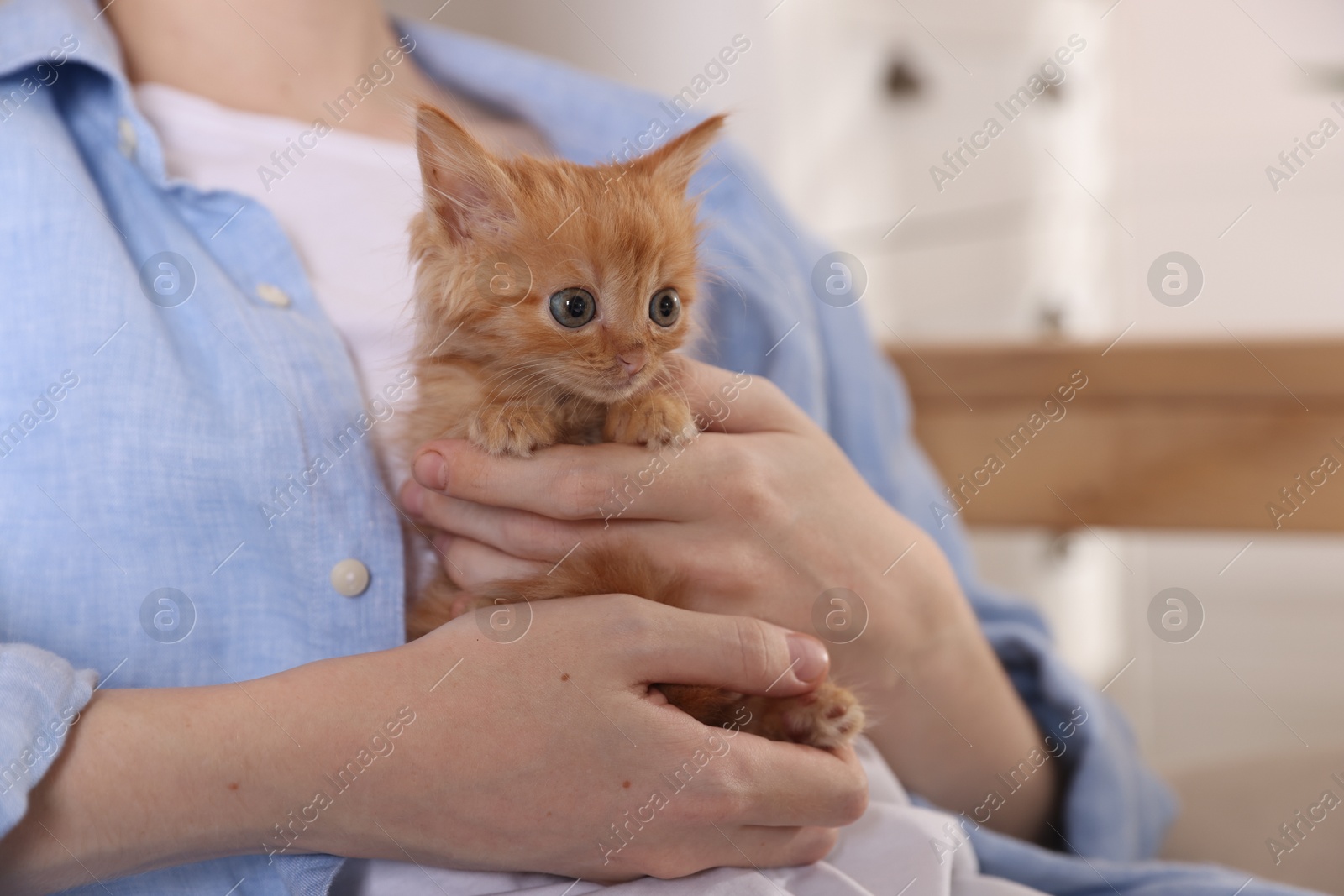 Photo of Teenage boy with his cute ginger kitten indoors, closeup