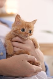 Photo of Teenage boy with his cute ginger kitten indoors, closeup