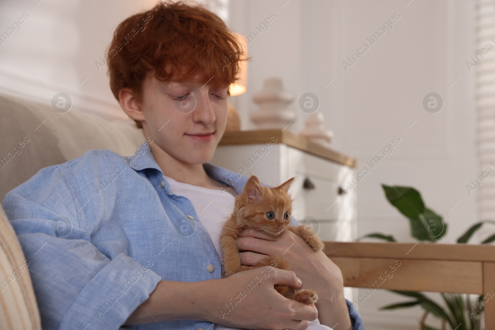 Photo of Redhead teenage boy with cute ginger kitten on sofa indoors