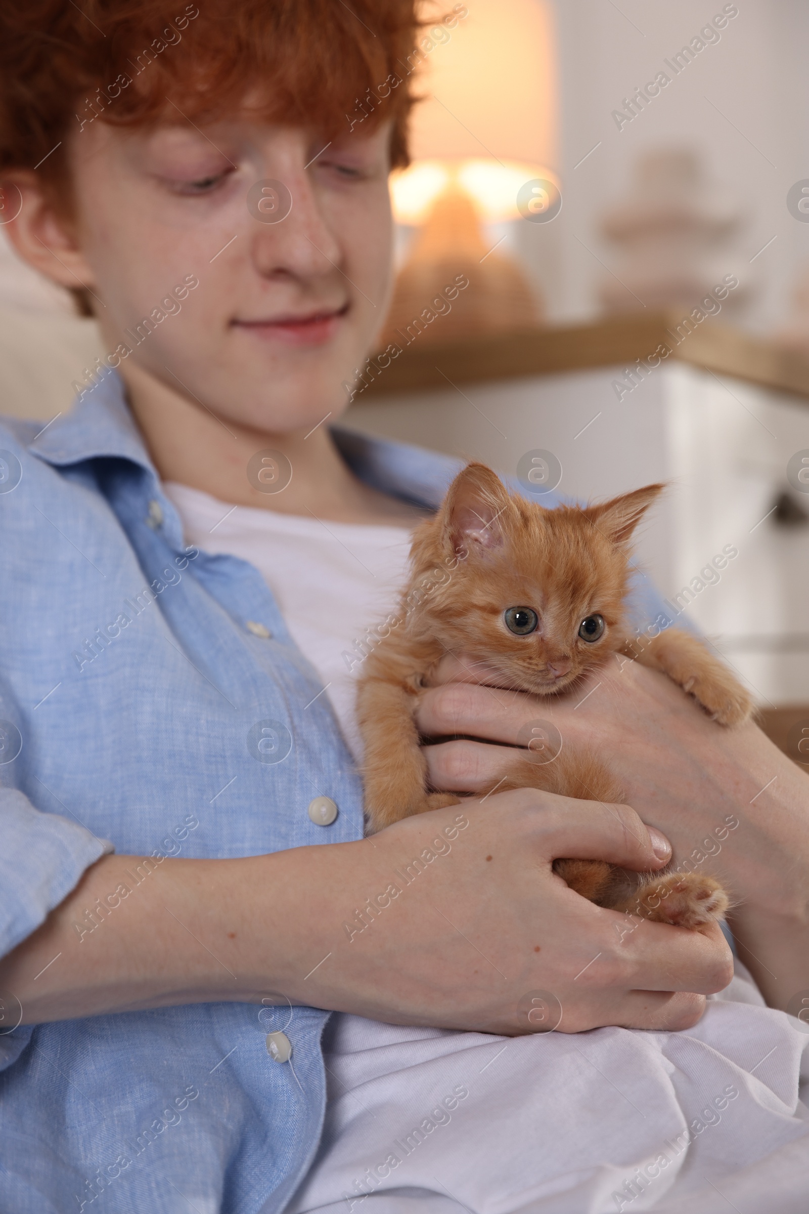 Photo of Redhead teenage boy with cute ginger kitten indoors, closeup