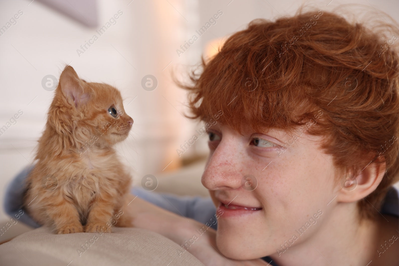 Photo of Redhead teenage boy with cute ginger kitten on sofa indoors