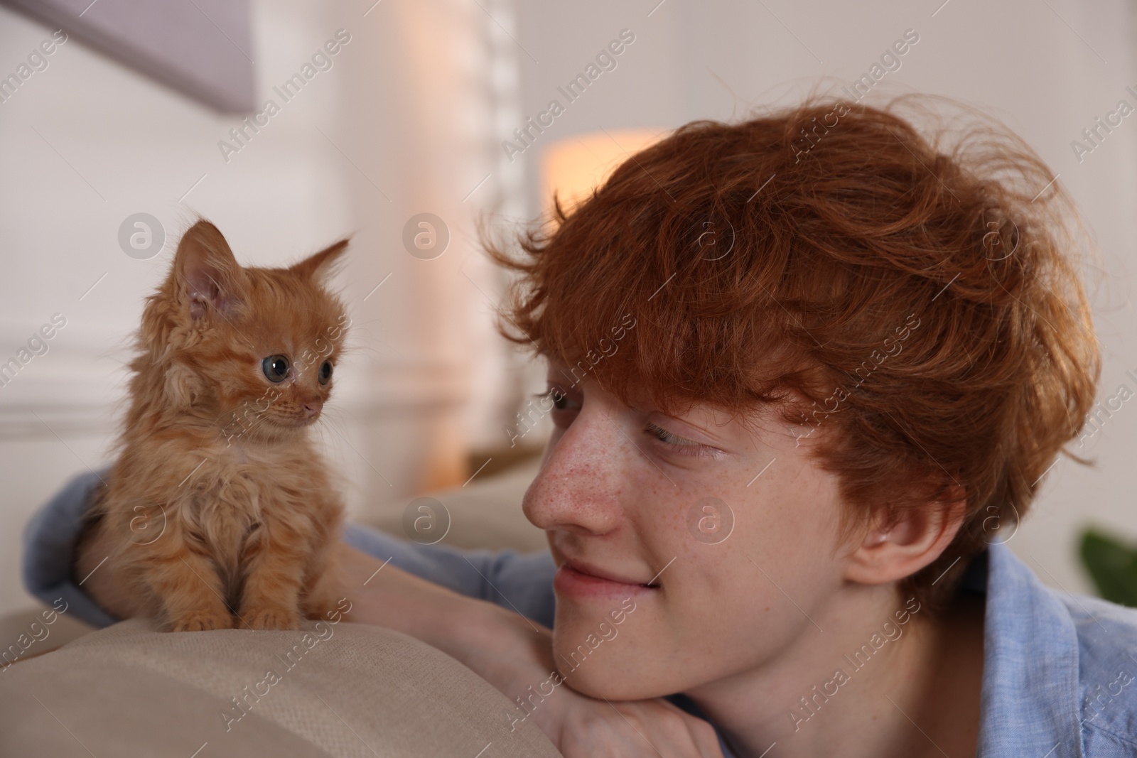 Photo of Redhead teenage boy with cute ginger kitten on sofa indoors