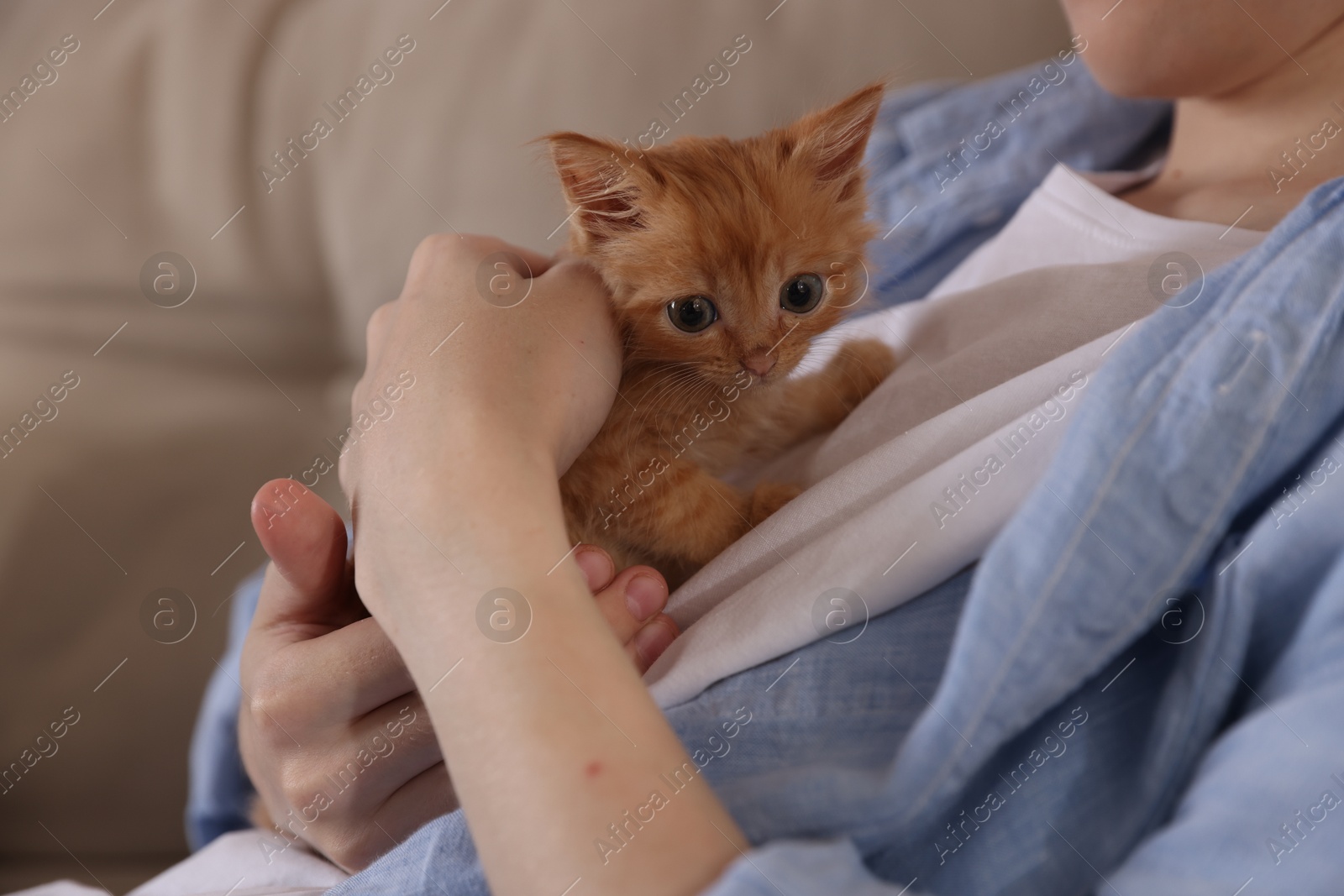 Photo of Teenage boy with his cute ginger kitten indoors, closeup