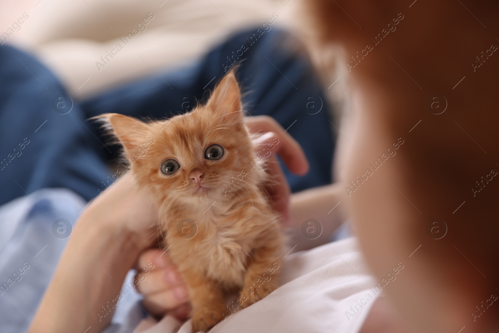 Photo of Teenage boy with his cute ginger kitten indoors, closeup