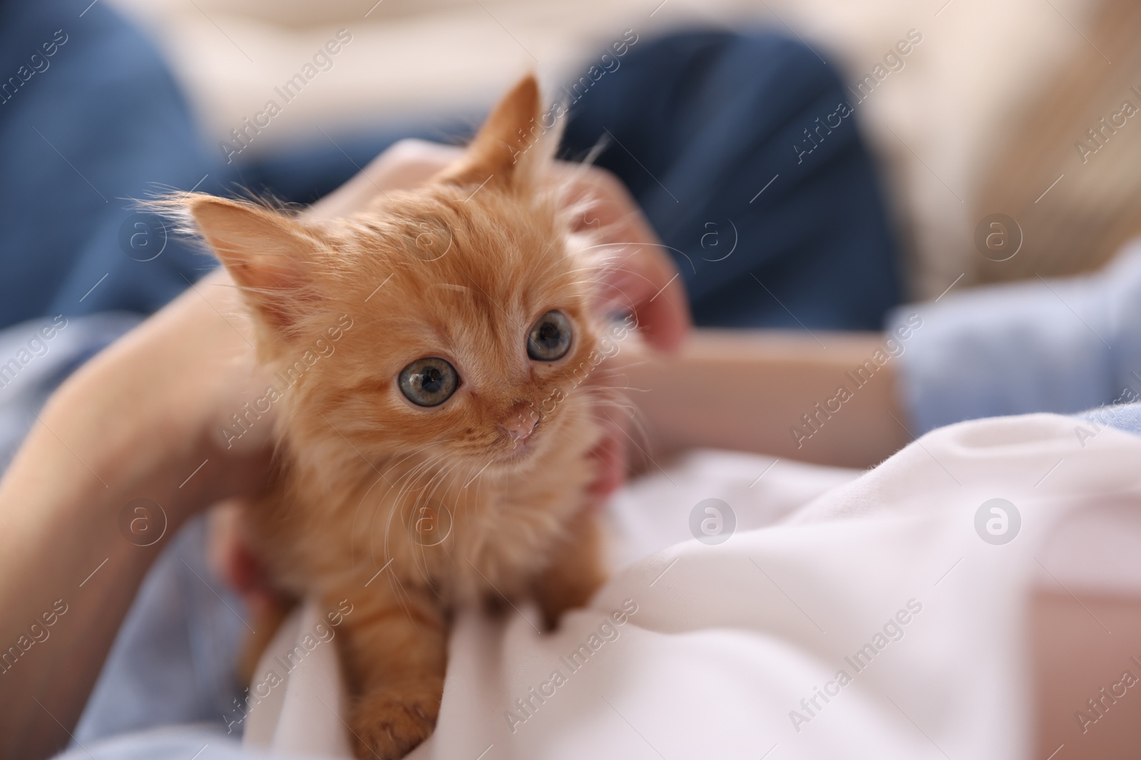 Photo of Teenage boy with his cute ginger kitten indoors, closeup