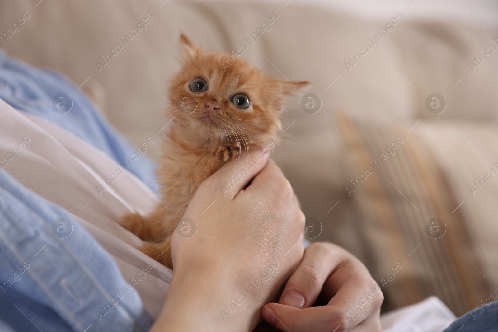 Photo of Teenage boy with his cute ginger kitten indoors, closeup