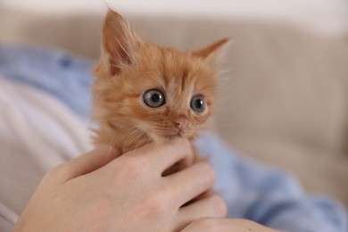 Photo of Teenage boy with his cute ginger kitten indoors, closeup