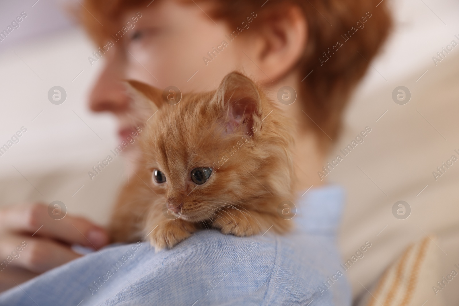 Photo of Redhead teenage boy with cute ginger kitten indoors, selective focus