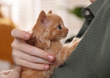 Teenage boy with his cute ginger kitten indoors, closeup