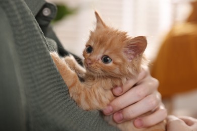 Photo of Teenage boy with his cute ginger kitten indoors, closeup