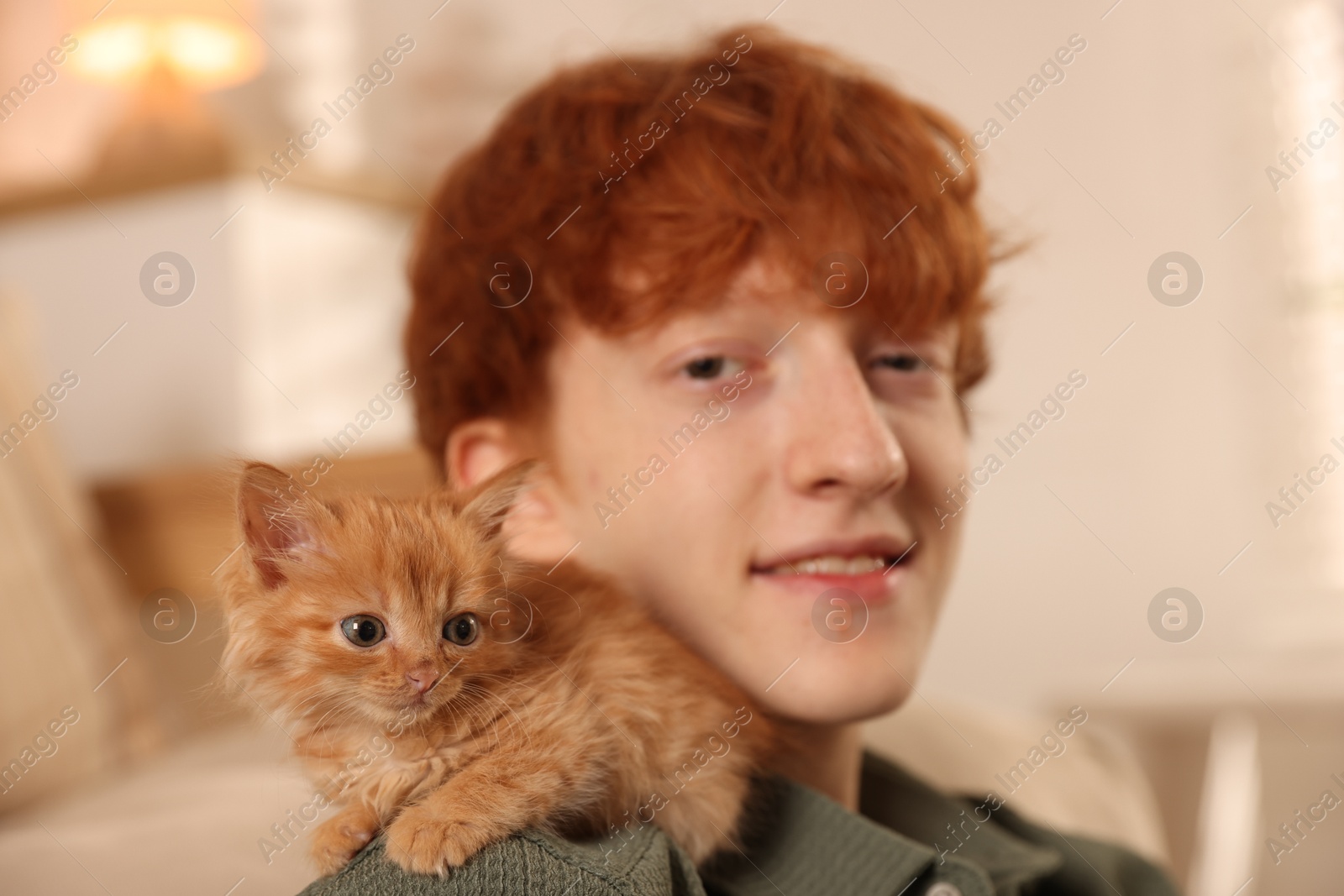 Photo of Redhead teenage boy with cute ginger kitten indoors, selective focus