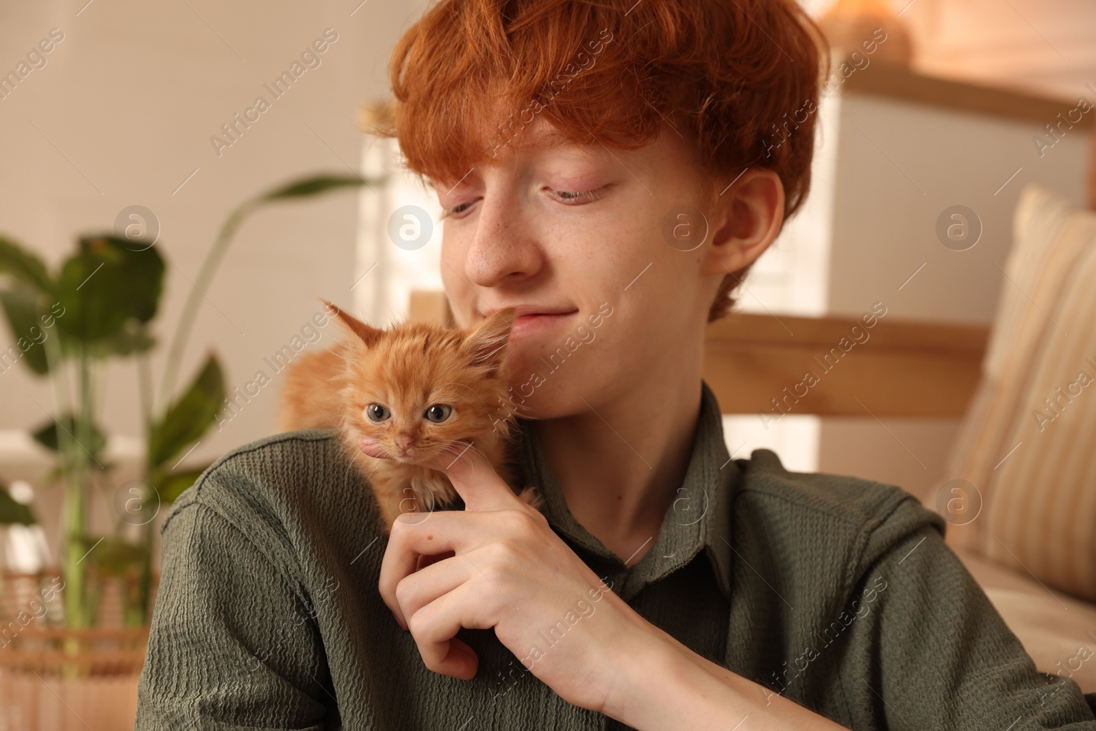 Photo of Redhead teenage boy with cute ginger kitten indoors