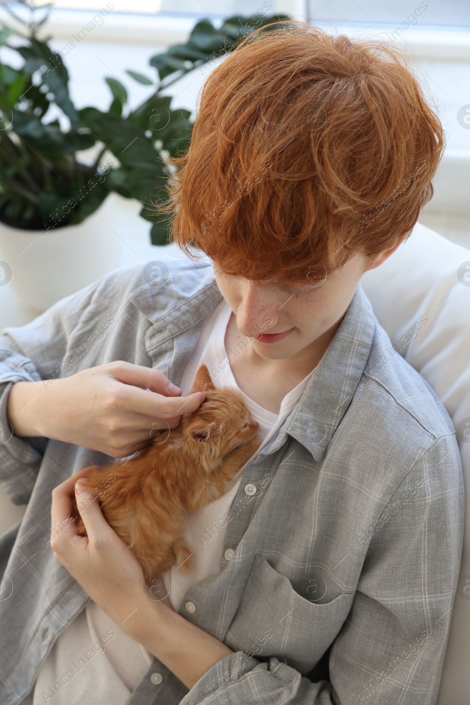 Photo of Redhead teenage boy with cute ginger kitten indoors