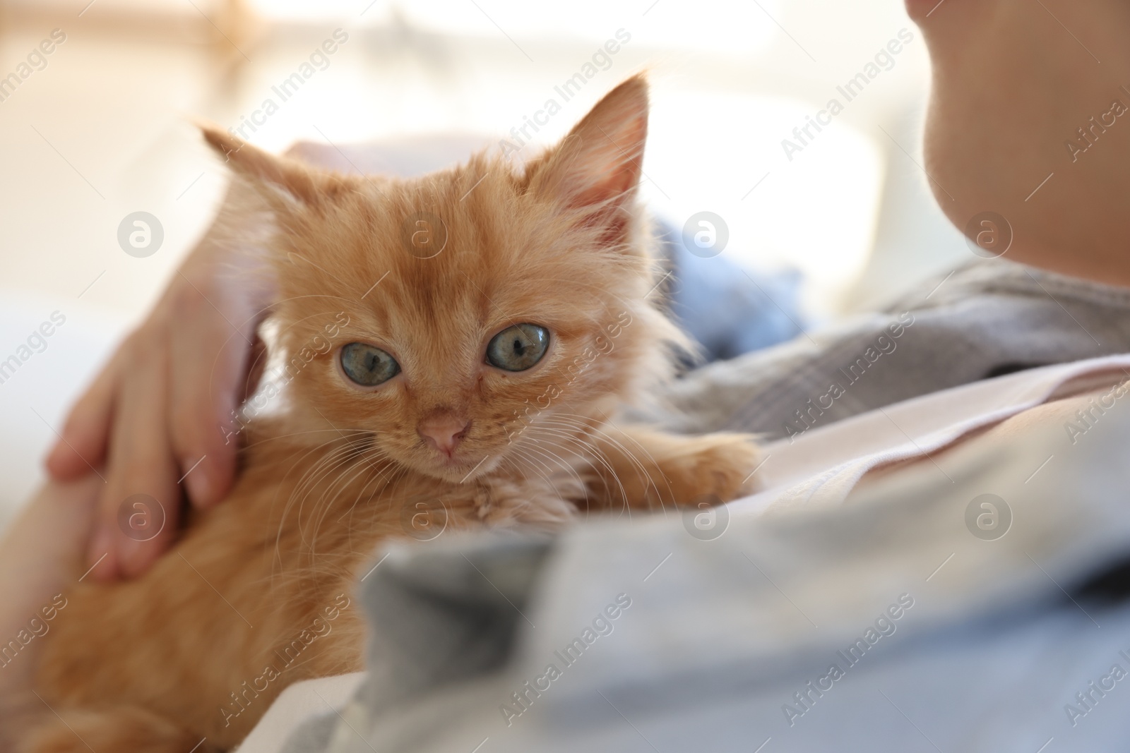 Photo of Teenage boy with his cute ginger kitten indoors, closeup