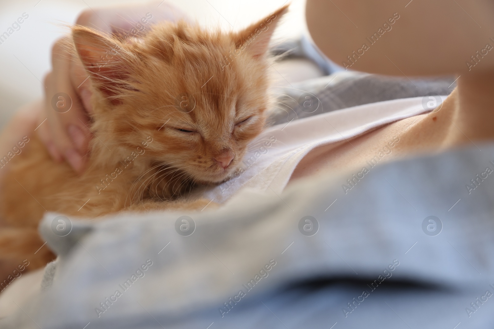 Photo of Teenage boy with his cute ginger kitten indoors, closeup