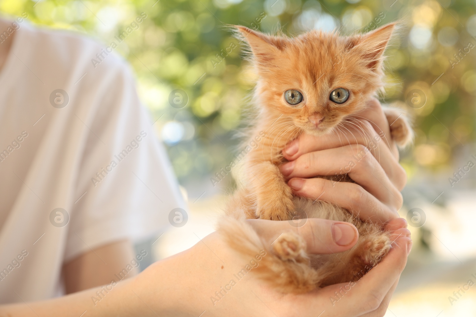 Photo of Teenage boy with cute orange kitten on blurred background, closeup