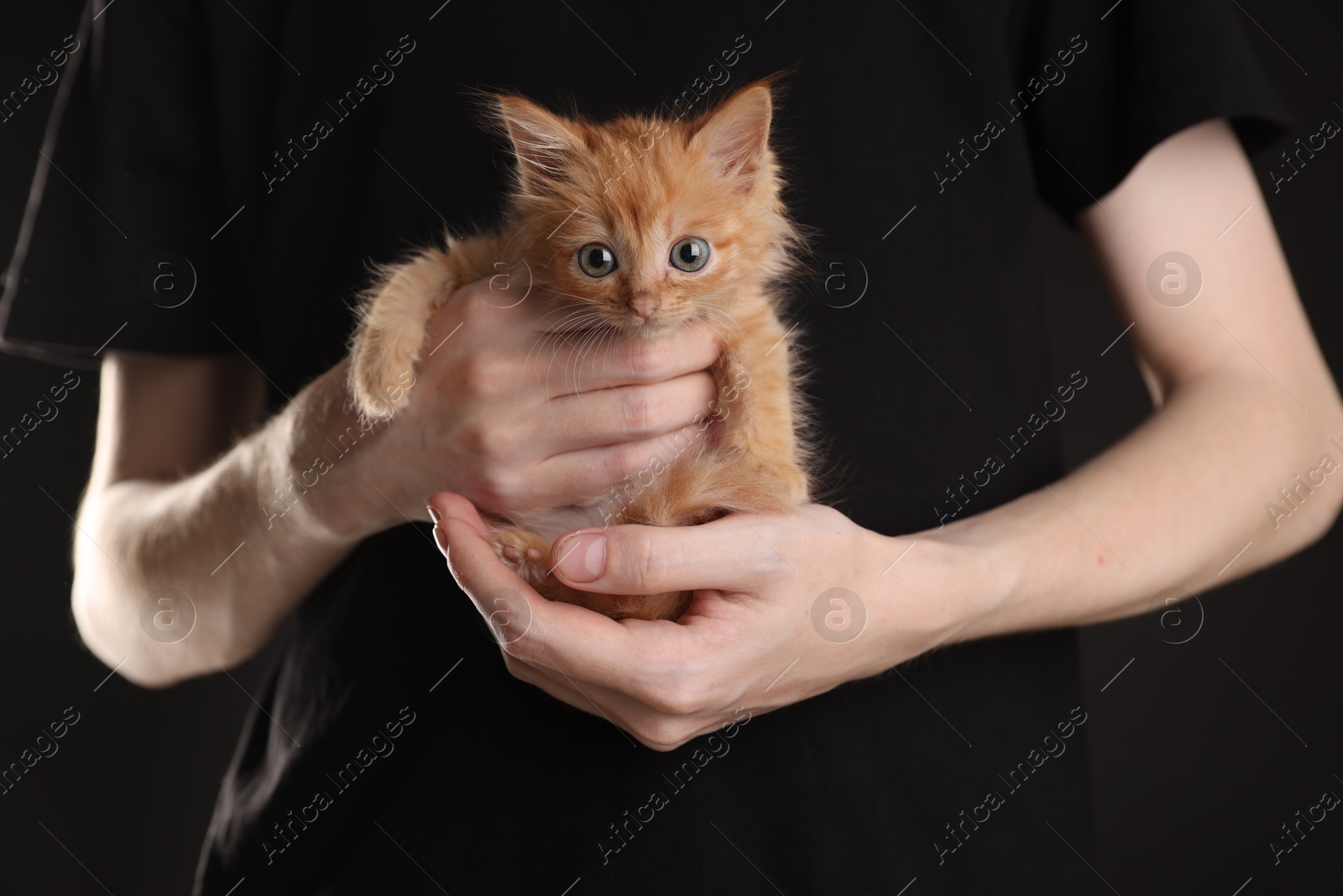 Photo of Teenage boy holding cute ginger kitten on black background, closeup