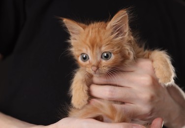 Teenage boy holding cute ginger kitten on black background, closeup