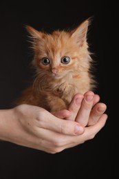 Photo of Teenage boy holding cute ginger kitten on black background, closeup