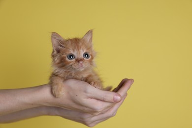 Photo of Teenage boy holding cute ginger kitten on yellow background, closeup. Space for text