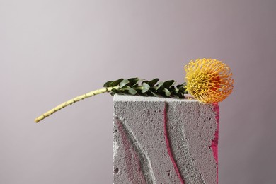 Photo of Beautiful yellow flower on concrete block against light grey background