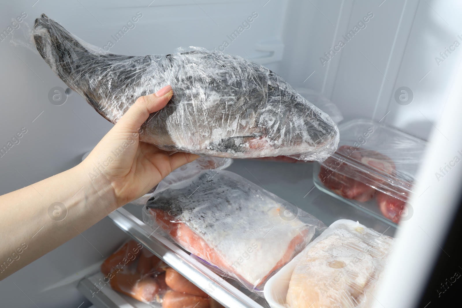 Photo of Woman taking frozen fish out of fridge, closeup