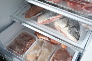 Photo of Different frozen meat and fish products in fridge, closeup