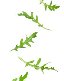 Image of Fresh green arugula in air on white background