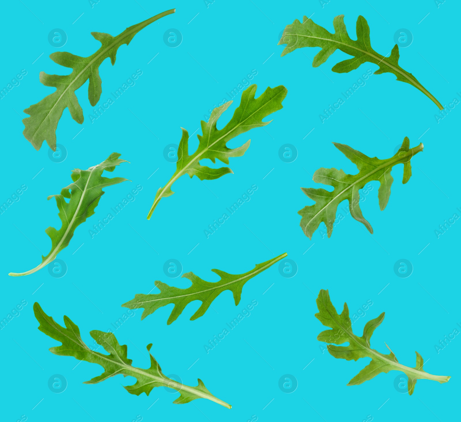 Image of Fresh green arugula in air on light blue background