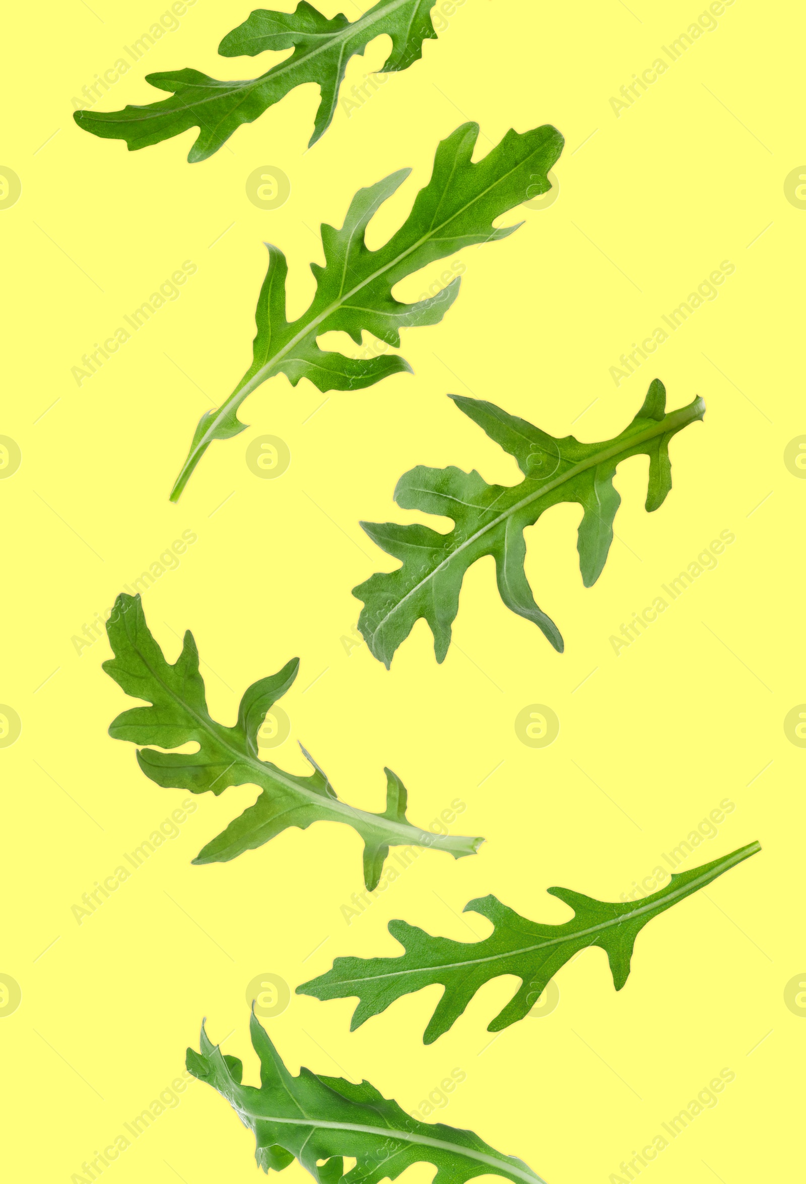 Image of Fresh green arugula in air on yellow background