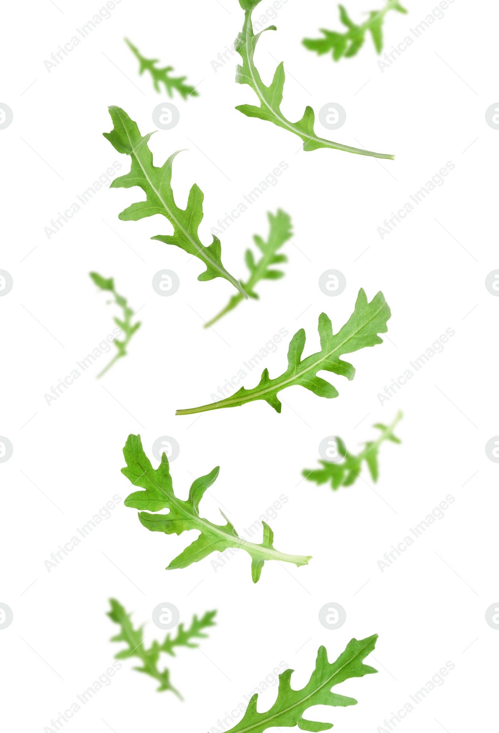 Image of Fresh green arugula in air on white background