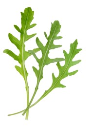 Image of Fresh green arugula on white background. Wholesome herb