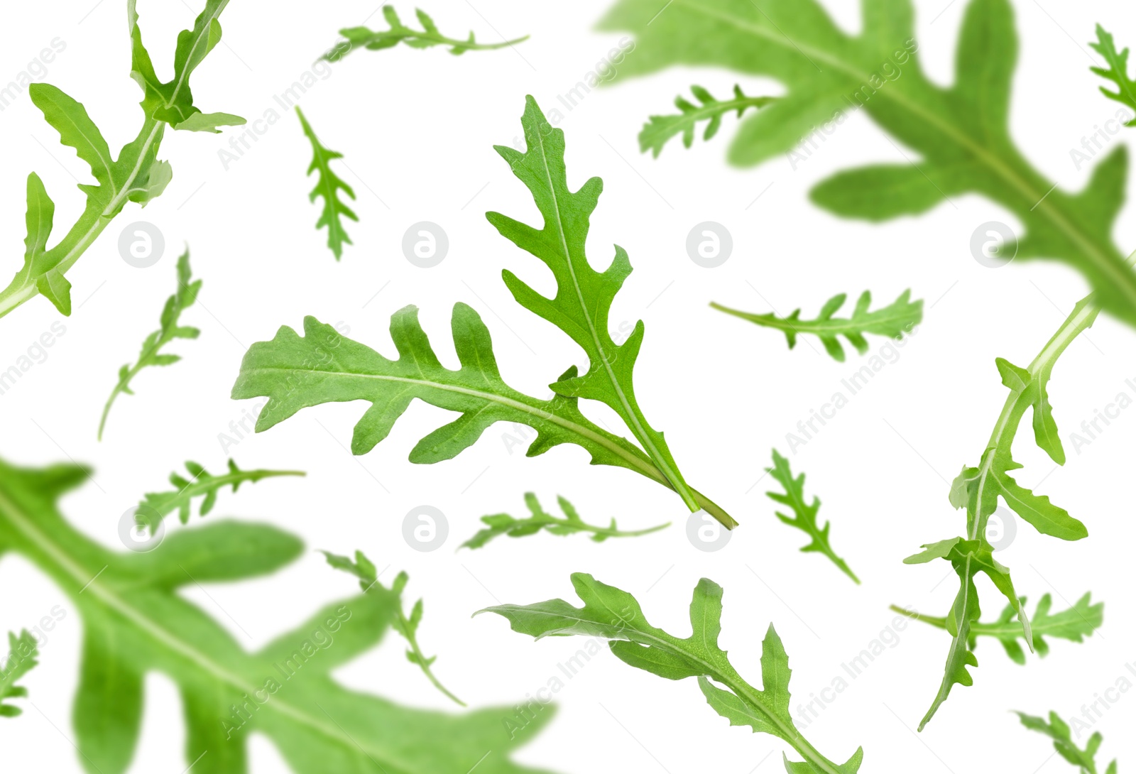 Image of Fresh green arugula in air on white background