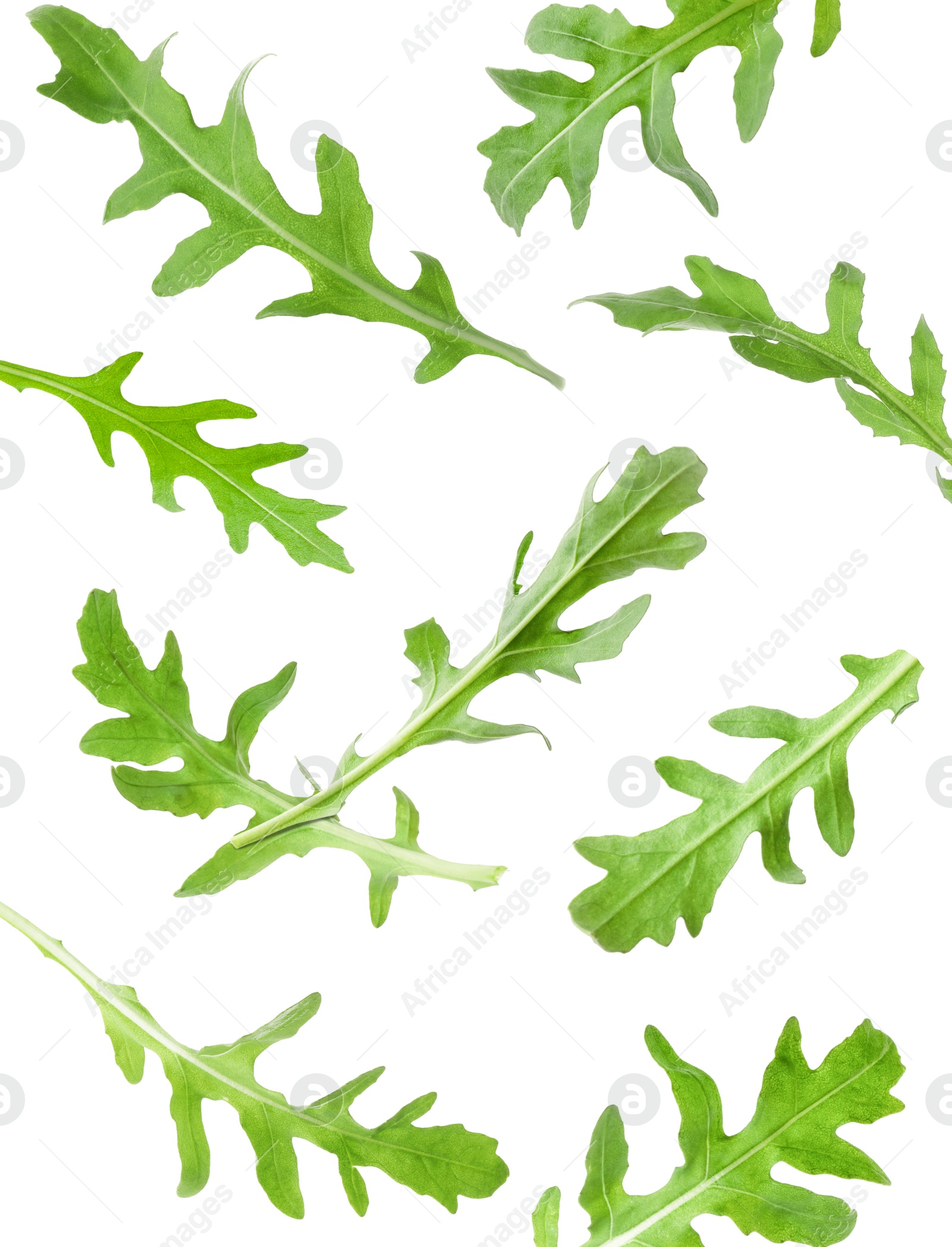 Image of Fresh green arugula in air on white background